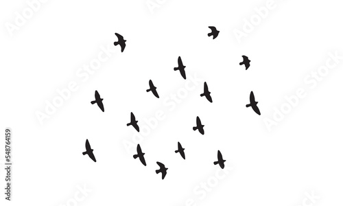 Flying Birds Silhouette 