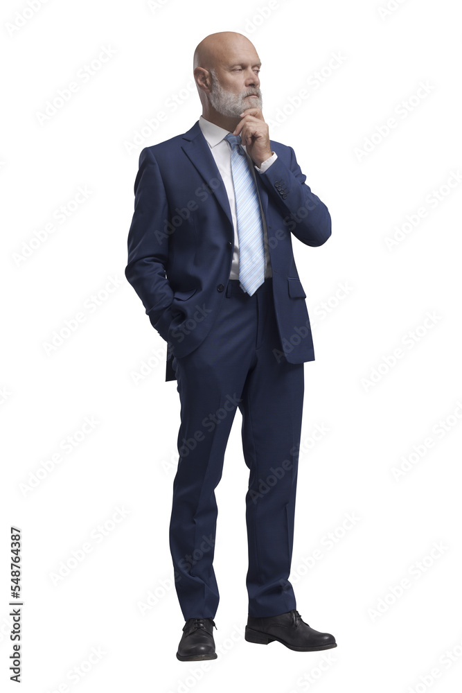Business executive thinking with hand on chin PNG file no background Business executive thinking with hand on chin PNG file no background
