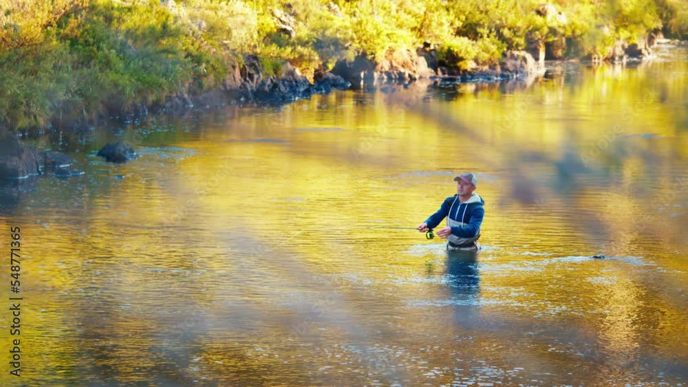 Fisherman casts the line on a river at sunrise. Angler stands in waders in the river and fishing on fly Fisherman casts the line on a river at sunrise. Angler stands in waders in the river and fishing on fly
