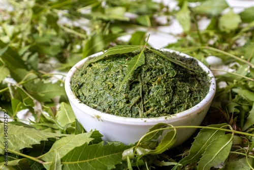 Closeup of Neem Paste or Azadirachta Indica Paste in a White Bowl with Neem Leaves and Copy Space, Ayurvedic Medicinal Herb