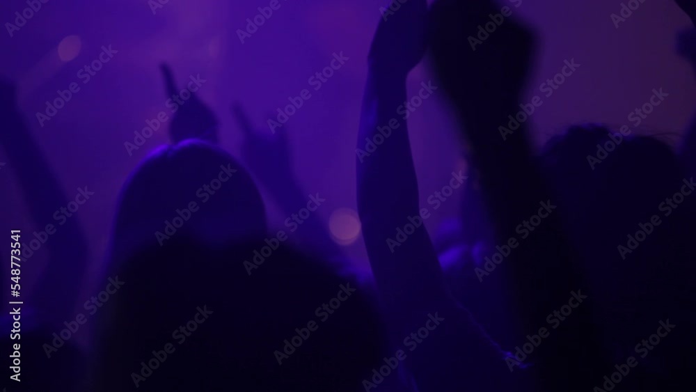 Silhouette, party or crowd in a dance concert dancing with freedom in crazy rock music festival at night. Audience, nightclub and excited people at a techno, rave or punk disco event together as fans Silhouette, party or crowd in a dance concert dancing with freedom in crazy rock music festival at night. Audience, nightclub and excited people at a techno, rave or punk disco event together as fans