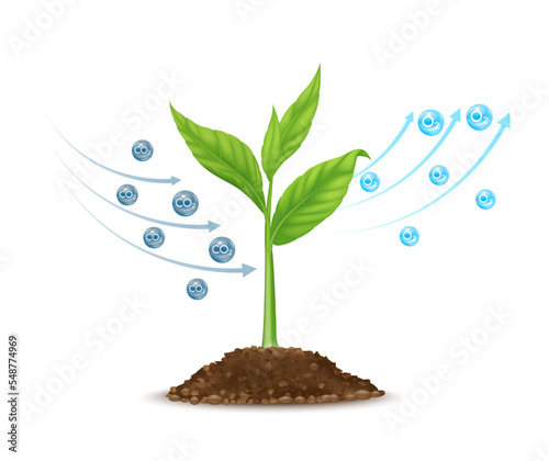 Seedling with leaf green grows from seed in soil. Tree photosynthesis process absorbs carbon dioxide CO2 greenhouse gas and produces oxygen O2 molecules. Save nature environment ecology. Vector.