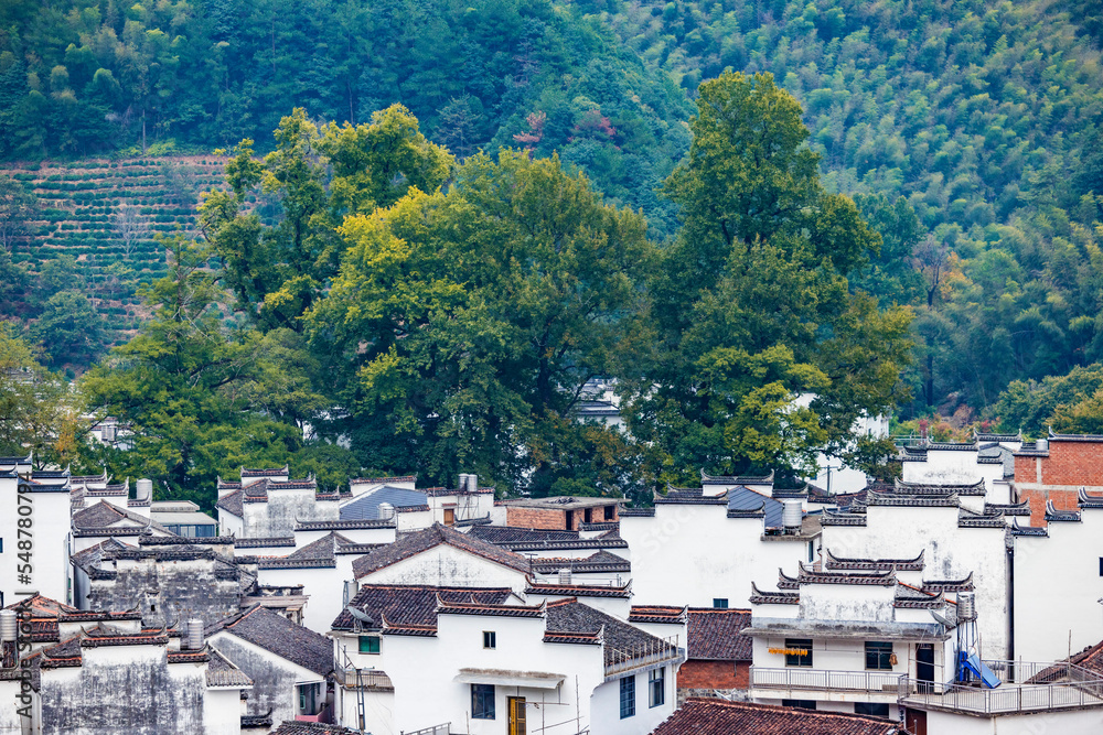 Fototapeta premium Landscape of Shicheng Scenic spot in Wuyuan, Jiangxi Province