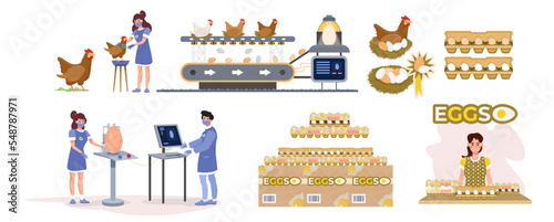 Egg production process. Set, collection. Infographic. Industrial process from hen, to eggs, packaging and distribution. Chicken poultry plant factory. Flat vector illustration. Poster, banner.
