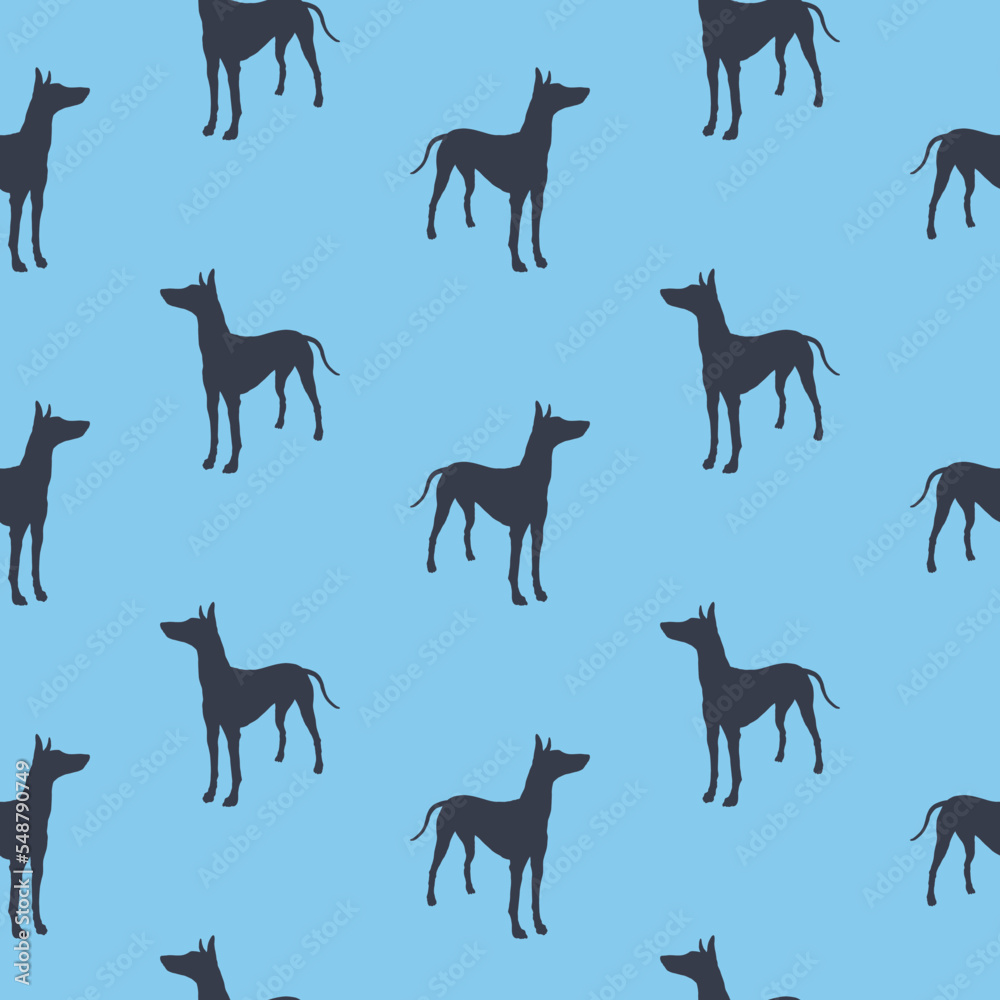 Standing pharaoh hound isolated on blue background. Seamless pattern. Dog silhouette. Endless texture. Design for wallpaper, wrapping paper, fabric.