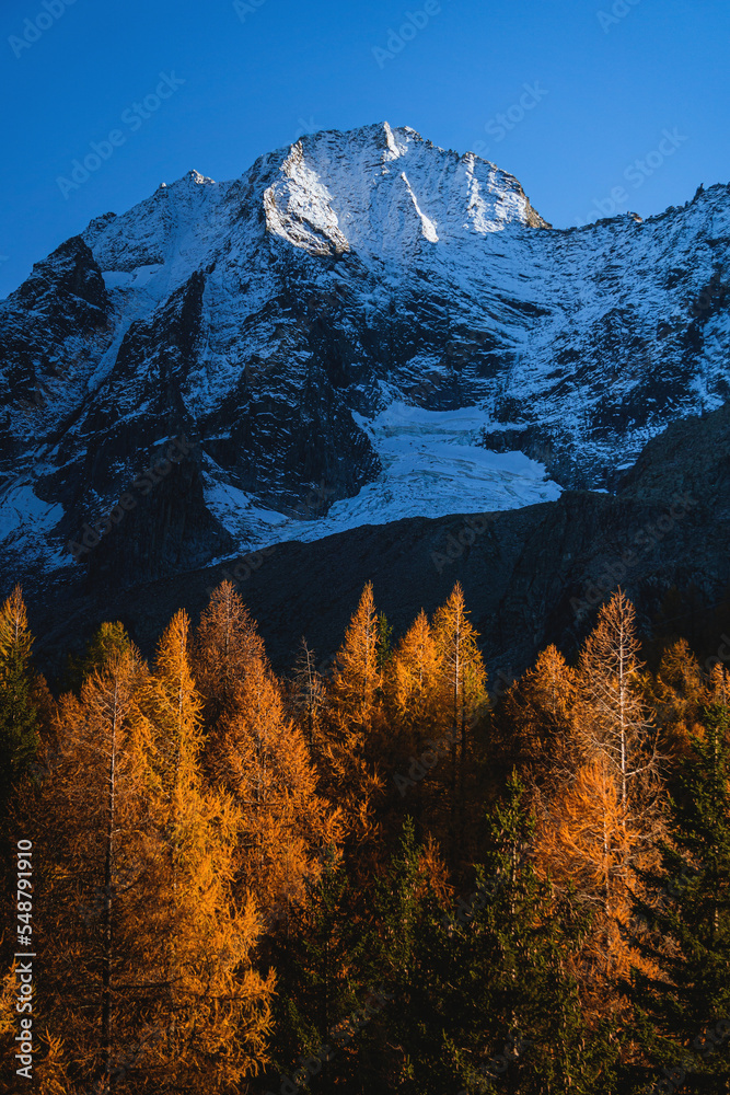 The peaks of Val Camonica with the first snow, glaciers, foliage and autumn colors, near the town of Ponte di Legno, Italy - October 2022.