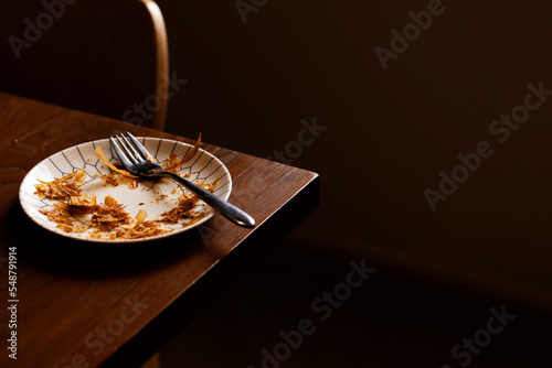 Breadcrumbs on the plate, the fork on the table.