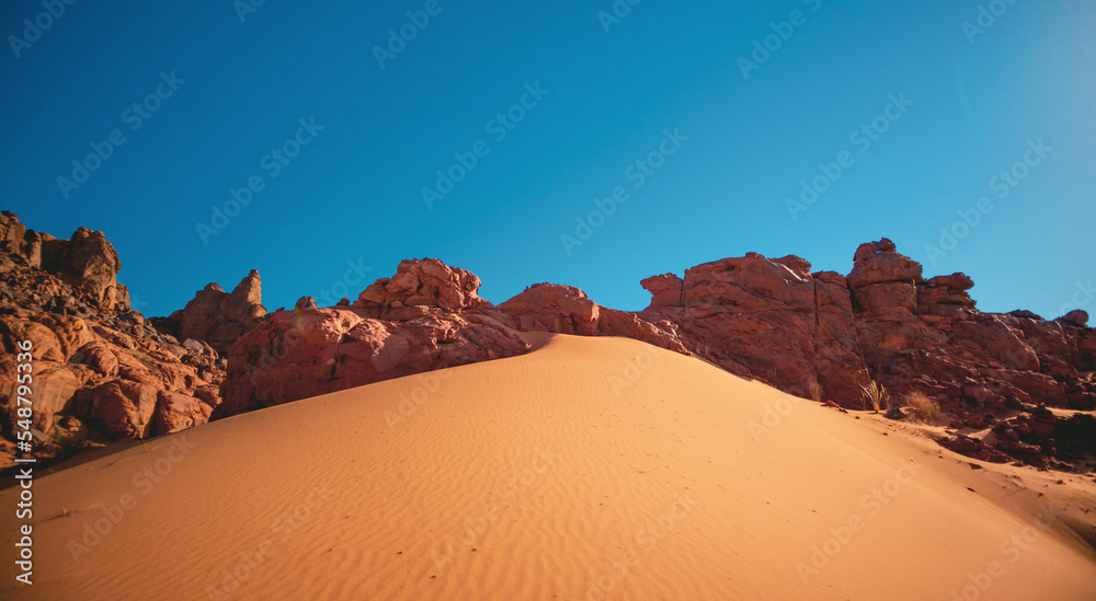 Fototapeta premium sand dunes