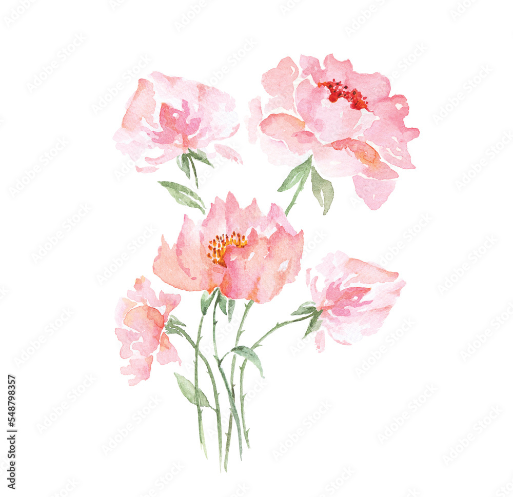 Bouquet of roses painted with watercolors.Hand drawn floral illustration.For wedding and valentine.Vintage style.Blooming pink flower painting for summer.