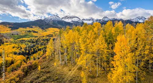 Rocky Mountains - Autumn golden aspen foliage near Ridgway Colorado - County Road 5 - Mount Sneffels - San Juan Mountains