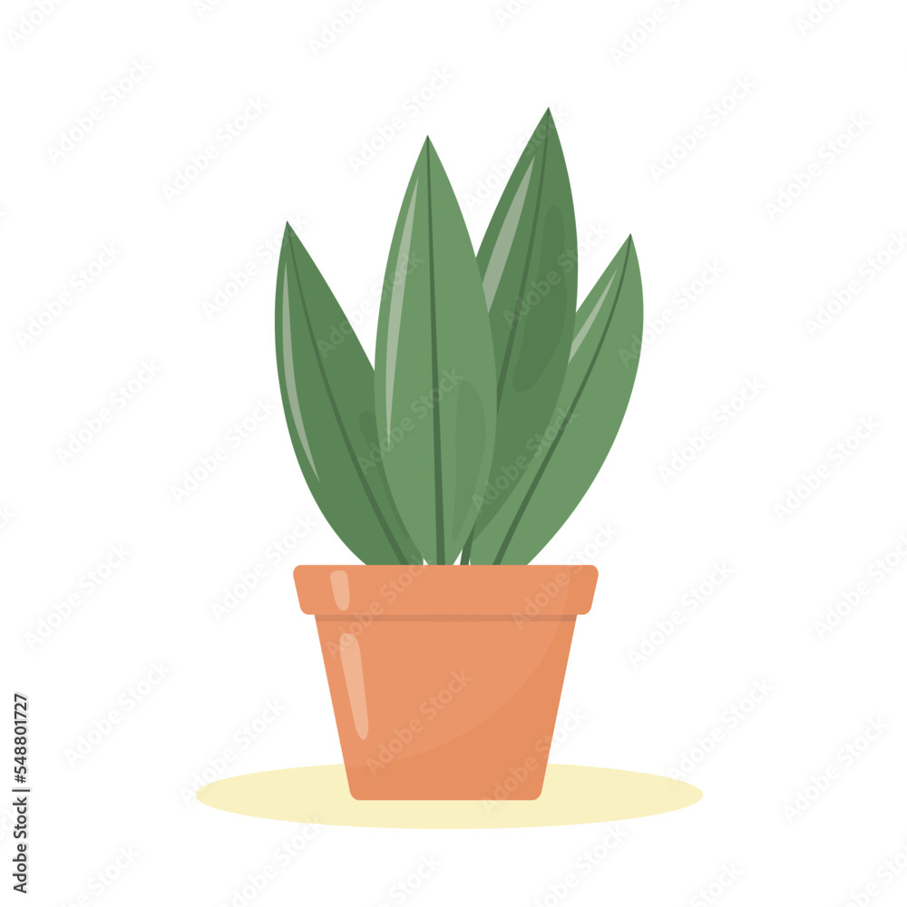 green houseplant in a clay pot- vector illustration