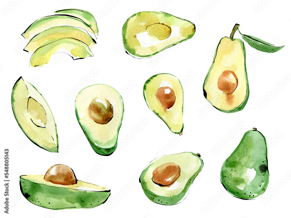 Avocado watercolor hand draw illustration isolated on white background. Avocado watercolor hand draw illustration isolated on white background.