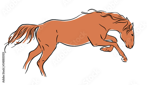 Contour drawing of a running horse. The horse is frolicking.