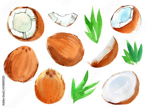 Watercolor set with coconut.
