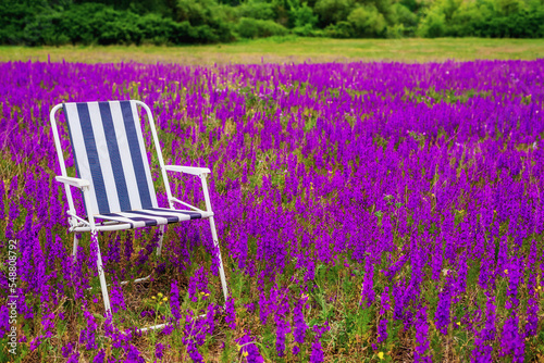 Armchair for outdoor recreation in a field of flowers
