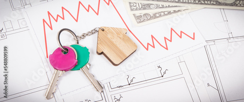 Fotografija Keys, dollars and downward graphs representing crisis of real estate market