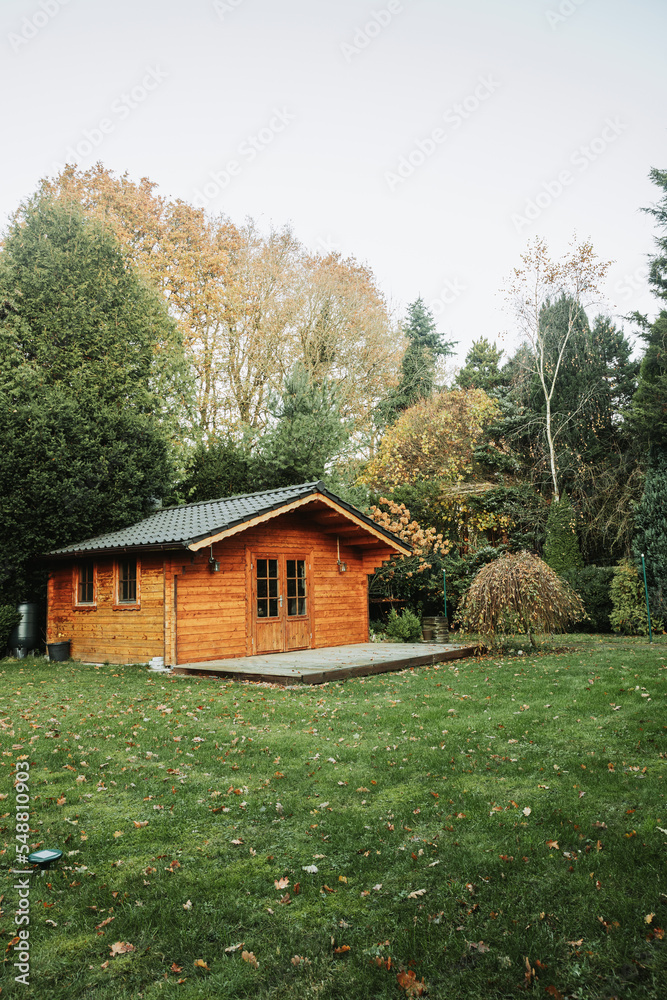 Obraz premium Beautiful forest hut for holidays in the forest. Garden shed with yellow leaves and trees in late autumn. Autumn mood in the country. 