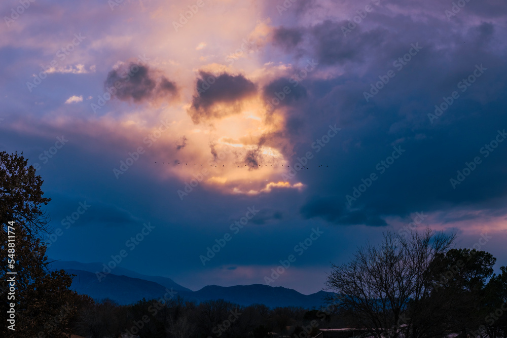 Sandhill Cranes Migration in a dark Early Morning Sky with room for a Title Sandhill Cranes Migration in a dark Early Morning Sky with room for a Title