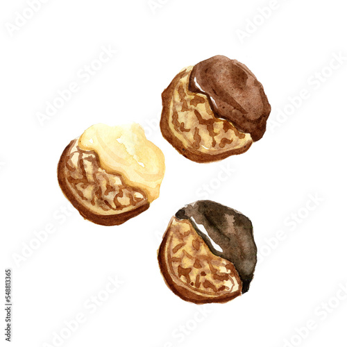 Cookie chocolate watercolor food illustration isolated on white background