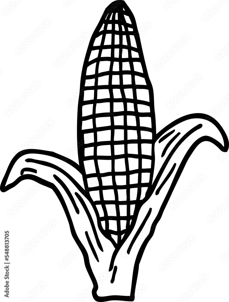 outline cartoon corn on cob Stock Vector | Adobe Stock
