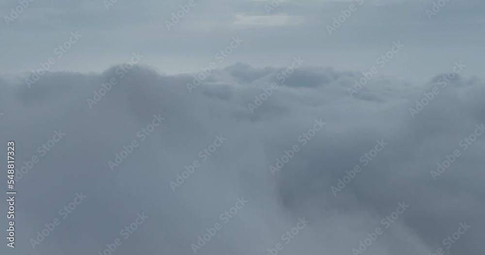 Rainy weather in mountains. Misty fog blowing over pine tree forest. Aerial footage of spruce forest trees on the mountain hills at misty day. Morning fog at beautiful forest. Rainy weather in mountains. Misty fog blowing over pine tree forest. Aerial footage of spruce forest trees on the mountain hills at misty day. Morning fog at beautiful forest.