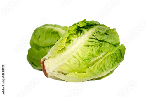 fresh green Romaine lettuce - cos lettuce (Lactuca sativa)