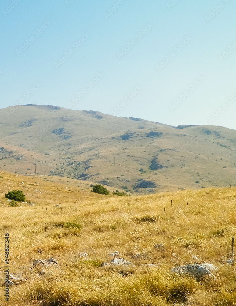 Fototapeta premium Top of Mountains in Galicica National Park, Macedonia.