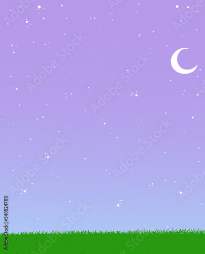 Cuadro en lienzo Fondo con cielo estrellado, luna y pasto