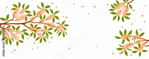 Traditional Asian background with osmanthus blossoms, flowers, fragrant olive tree branches in bloom. Oriental, eastern style vector illustration. Design concept for summer, autumn promotion, sale.