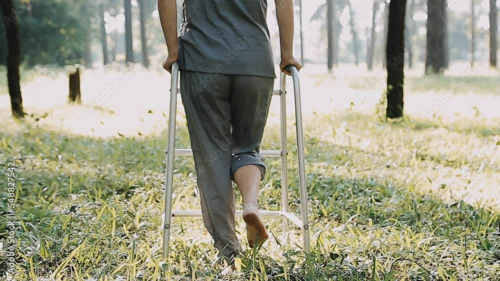 young asian physical therapist working with senior woman on walking with a walker young asian physical therapist working with senior woman on walking with a walker