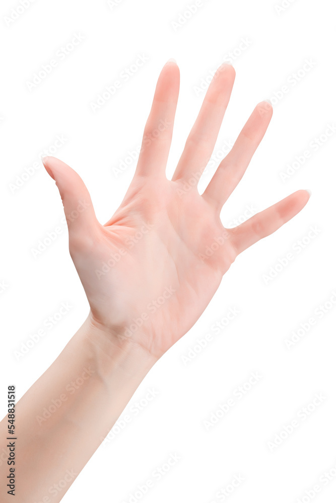 Empty open woman hand isolated with transparency