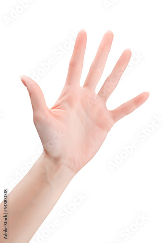 Obraz na płótnie Empty open woman hand isolated with transparency w salonie