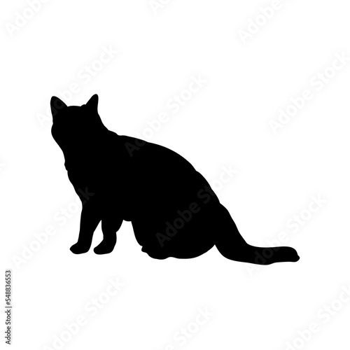  cat silhouette - vector illustration