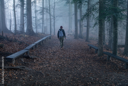 Woman hiker in a foggy forest in the morning on a mountain trail.