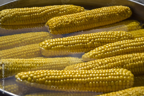 Process of cooking fresh mature corn. Sale of freshly boiled hot corn at fair. Natural yellow background. Close-up. Selective focus.