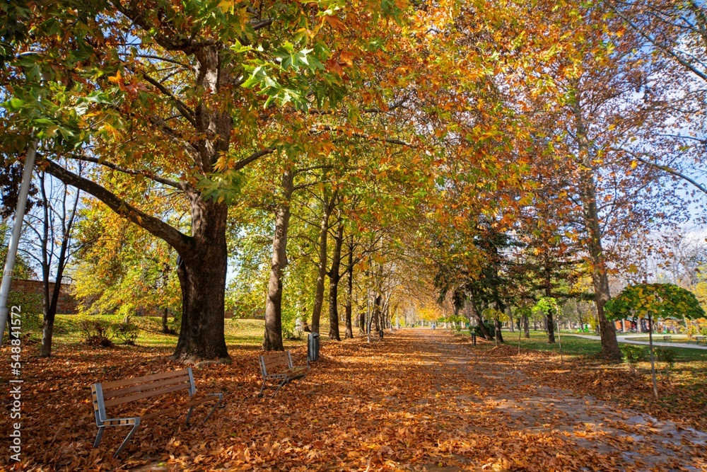 Skopje city park in autumn in a wide angle view