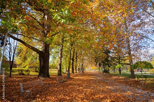 Skopje city park in autumn in a wide angle view