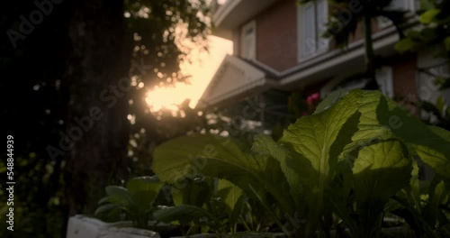 Family home, Property insurance. Family house in the rays of the sunset sun, a house at sunset, the sun shines through the trees. Symbol of home, happiness. Rural life concept. Dream of buying house