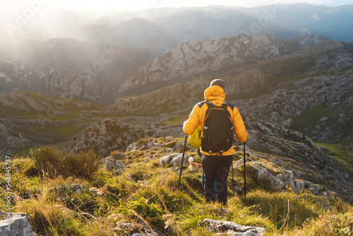 Billede på lærred hiker on his back with backpack and yellow coat descending a mountain