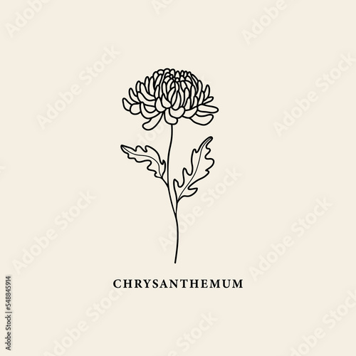 Tablou canvas Line art chrysanthemum flower illustration