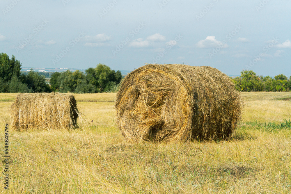 Rolled up haystack in field. Twisted grass for animal feed on farm. Rolled up haystack in field. Twisted grass for animal feed on farm.