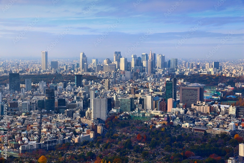 Tokyo city Shinjuku skyline