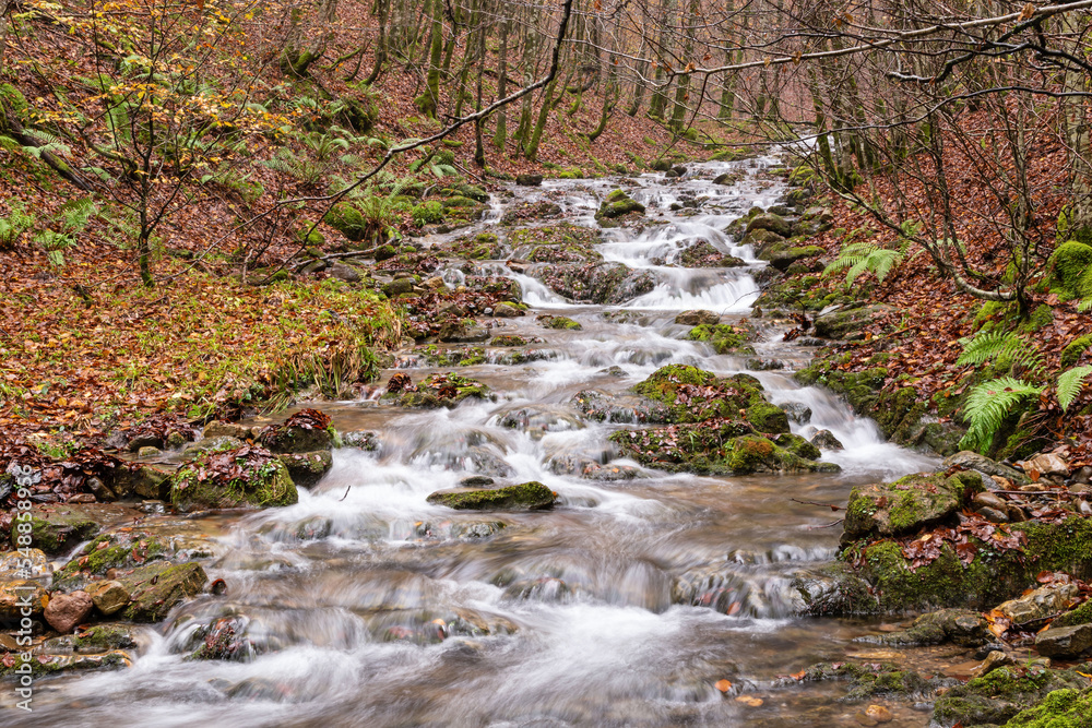 Stream grown with autumn rains. Navarre Pyrenees