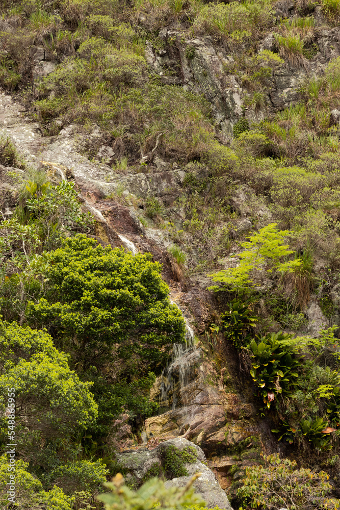 waterfall in the forest. RIACHO DA PRATAM CHAPADA DIAMANTINA NORTE, BAHIA, BRAZIL waterfall in the forest. RIACHO DA PRATAM CHAPADA DIAMANTINA NORTE, BAHIA, BRAZIL