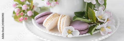 Beautiful composition with delicious French macarons and spring flowers in a white cup. Sweet dessert  early spring white and pink flowers  wedding decor  bride morning. Banner