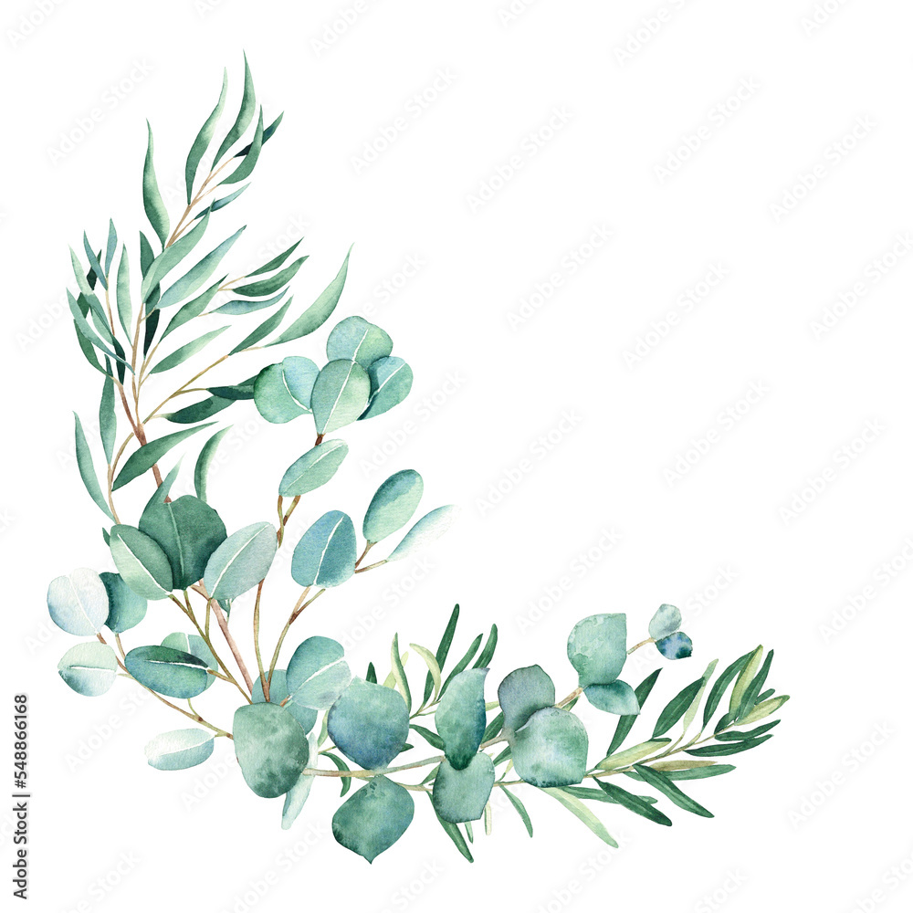 Watercolor bouquet. Eucalyptus, pistachio and olive branches. True blue, willow, silver dollar. Hand drawn botanical illustration isolated on white background. Can be used for greeting cards, wedding