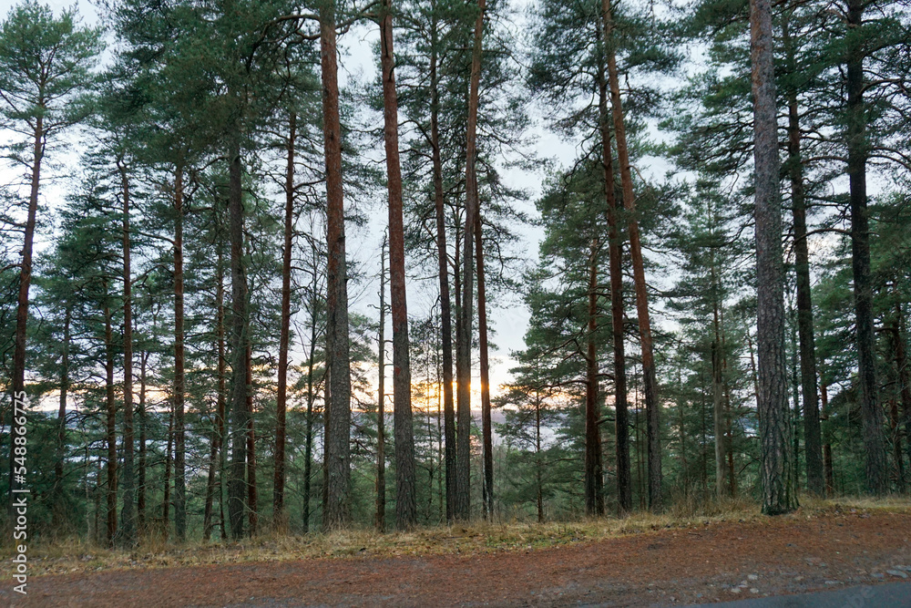 A beautiful view from the world's tallest longitudinal ridge towards the lake as the sun sets down. Pyynikinharju Tampere, Finland A beautiful view from the world's tallest longitudinal ridge towards the lake as the sun sets down. Pyynikinharju Tampere, Finland
