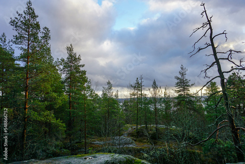 A beautiful view from the top of the world's tallest longitudinal ridge towards the lake in the autumn evening at Pyynikinharju Tampere, Finland photo