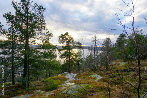 A beautiful view from the top of the world's tallest longitudinal ridge towards the lake as the sun sets behind the pines at Pyynikinharju Tampere, Finland