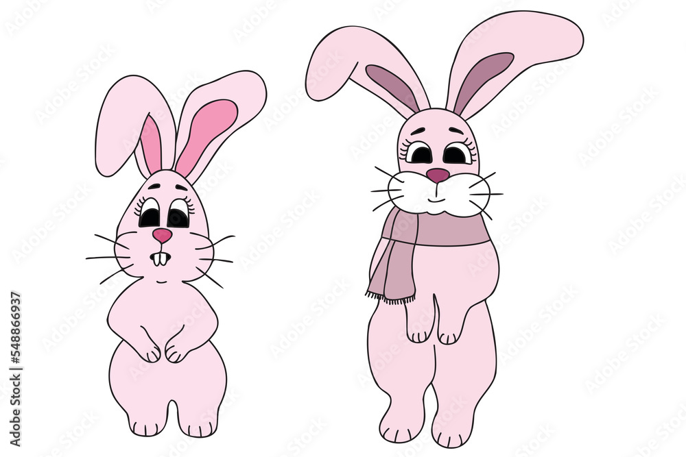 The picture shows two different pink bunnies, it is intended for New Year, Christmas holidays, cards, clothes printing, children's book printing and you can use it in different occasions. The picture shows two different pink bunnies, it is intended for New Year, Christmas holidays, cards, clothes printing, children's book printing and you can use it in different occasions.